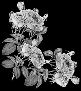 Розы уголок2 - картинки для гравировки